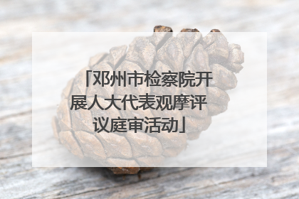 邓州市检察院开展人大代表观摩评议庭审活动