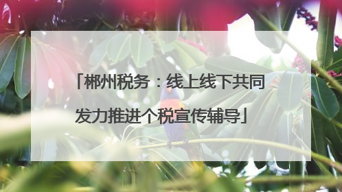 郴州税务：线上线下共同发力推进个税宣传辅导