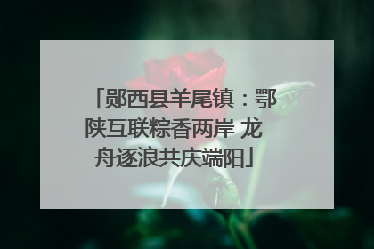 郧西县羊尾镇：鄂陕互联粽香两岸 龙舟逐浪共庆端阳