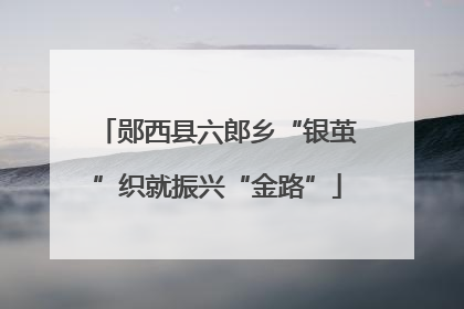 郧西县六郎乡“银茧”织就振兴“金路”