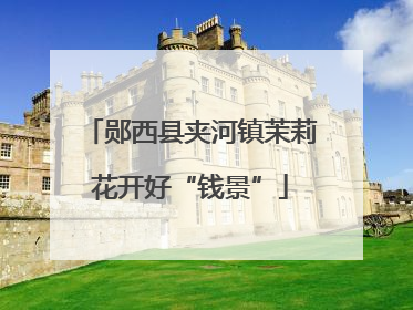 郧西县夹河镇茉莉花开好“钱景”