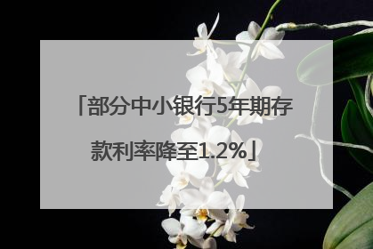 部分中小银行5年期存款利率降至1.2%