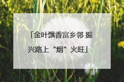 金叶飘香富乡邻 振兴路上“烟”火旺