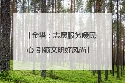 金塔：志愿服务暖民心 引领文明好风尚