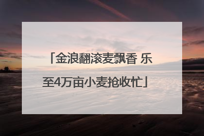 金浪翻滚麦飘香 乐至4万亩小麦抢收忙