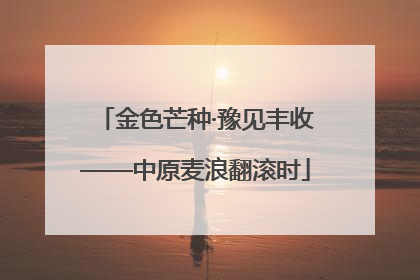 金色芒种·豫见丰收——中原麦浪翻滚时
