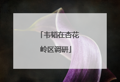 韦韬在杏花岭区调研