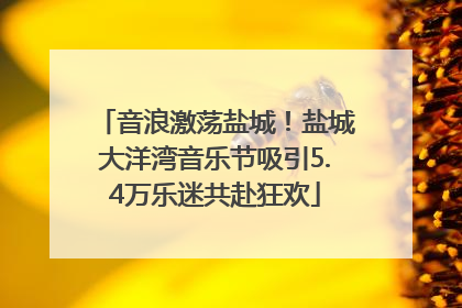 音浪激荡盐城！盐城大洋湾音乐节吸引5.4万乐迷共赴狂欢