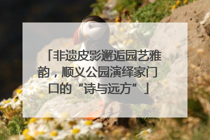 非遗皮影邂逅园艺雅韵，顺义公园演绎家门口的“诗与远方”