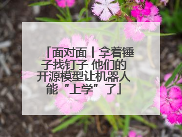 面对面丨拿着锤子找钉子 他们的开源模型让机器人能“上学”了