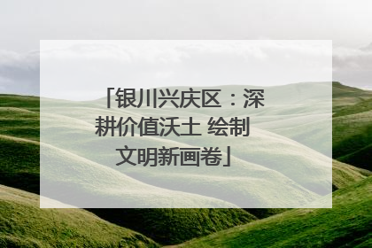 银川兴庆区：深耕价值沃土 绘制文明新画卷
