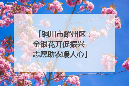 铜川市耀州区：金银花开促振兴 志愿助农暖人心