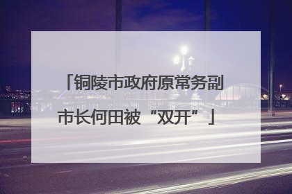 铜陵市政府原常务副市长何田被“双开”
