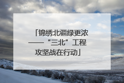 锦绣北疆绿更浓——“三北”工程攻坚战在行动