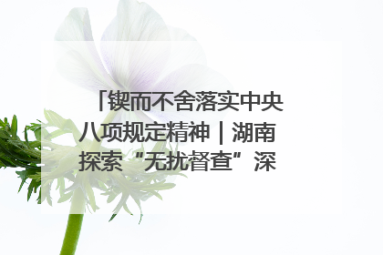 锲而不舍落实中央八项规定精神｜湖南探索“无扰督查”深化基层减负