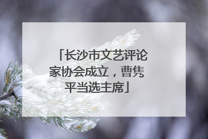 长沙市文艺评论家协会成立，曹隽平当选主席
