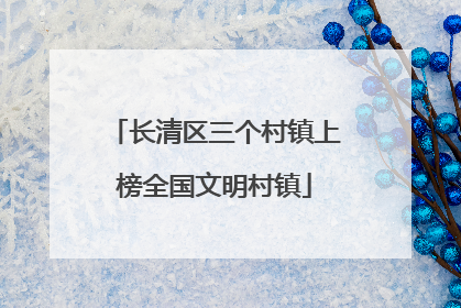 长清区三个村镇上榜全国文明村镇