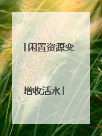 闲置资源变增收活水