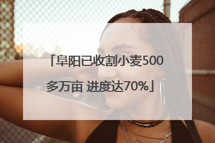 阜阳已收割小麦500多万亩 进度达70%