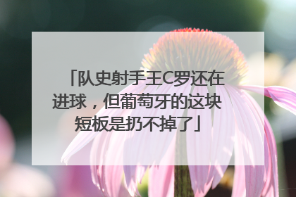 队史射手王C罗还在进球，但葡萄牙的这块短板是扔不掉了