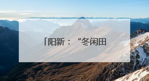 阳新：“冬闲田”变身“黄金田” 稻麦轮作绘就乡村振兴新篇章