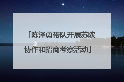 陈泽勇带队开展苏陕协作和招商考察活动