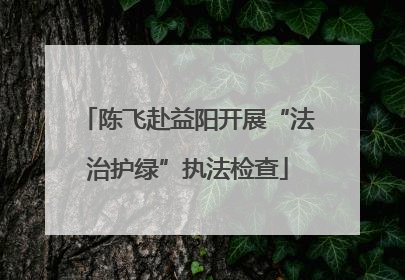 陈飞赴益阳开展“法治护绿”执法检查