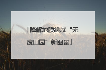 降解地膜绘就“无废田园”新图景