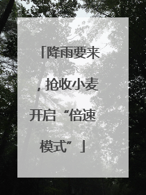 降雨要来，抢收小麦开启“倍速模式”