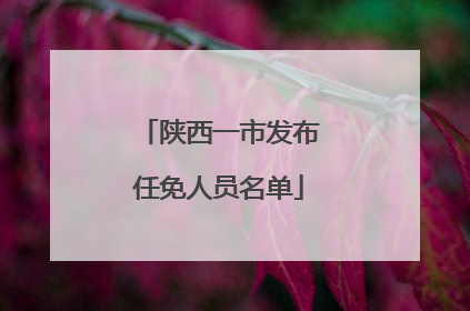 陕西一市发布任免人员名单