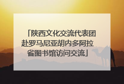 陕西文化交流代表团赴罗马尼亚胡内多阿拉省图书馆访问交流