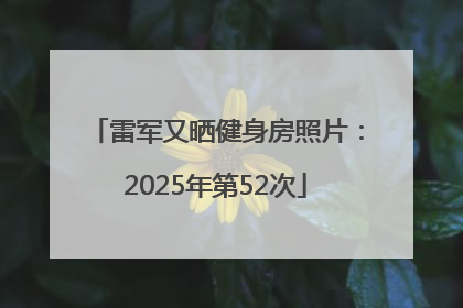 雷军又晒健身房照片：2025年第52次