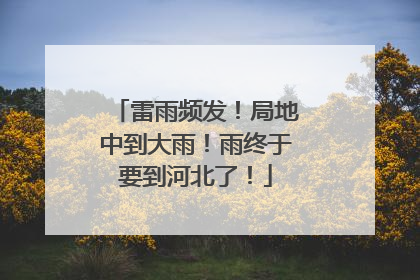 雷雨频发！局地中到大雨！雨终于要到河北了！
