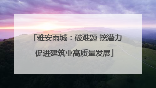 雅安雨城：破难题 挖潜力 促进建筑业高质量发展