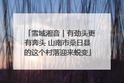 雪域湘音｜有劲头更有奔头 山南市桑日县的这个村落迎来蜕变