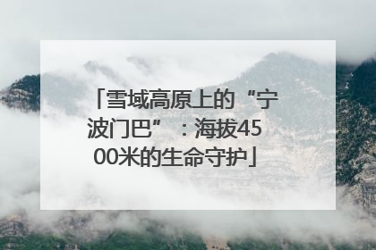 雪域高原上的“宁波门巴”：海拔4500米的生命守护