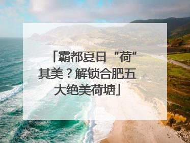 霸都夏日“荷”其美？解锁合肥五大绝美荷塘
