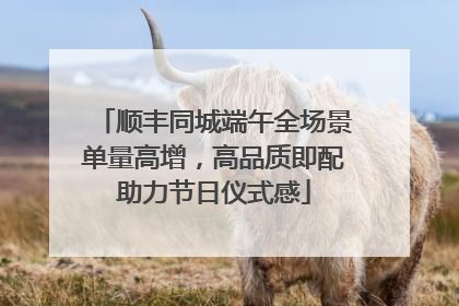 顺丰同城端午全场景单量高增，高品质即配助力节日仪式感