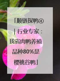 顺链探鸭④｜行业专家：我省肉鸭养殖品种80%是樱桃谷鸭