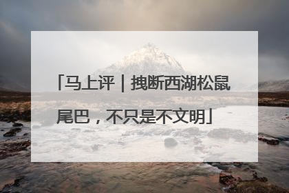 马上评｜拽断西湖松鼠尾巴，不只是不文明