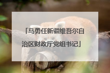 马勇任新疆维吾尔自治区财政厅党组书记