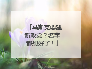 马斯克要建新政党？名字都想好了！