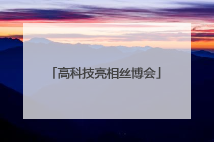 高科技亮相丝博会