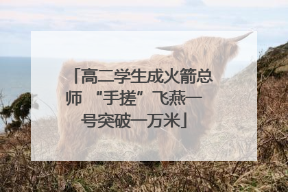 高二学生成火箭总师 “手搓”飞燕一号突破一万米