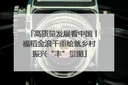 高质量发展看中国丨福稻金浪千重绘就乡村振兴“丰”景图