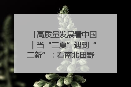 高质量发展看中国｜当“三夏”遇到“三新”：看南北田野里的科技共生记
