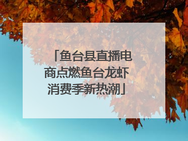 鱼台县直播电商点燃鱼台龙虾消费季新热潮