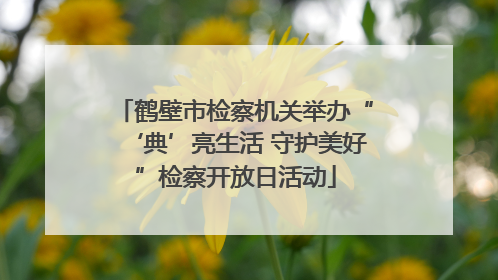 鹤壁市检察机关举办“‘典’亮生活 守护美好”检察开放日活动