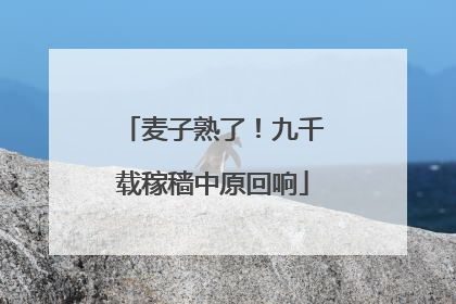 麦子熟了！九千载稼穑中原回响