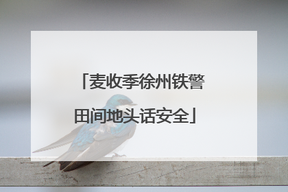 麦收季徐州铁警田间地头话安全